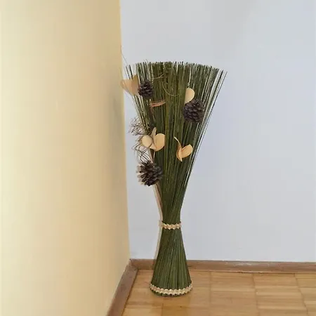 Апартаменты Doriana *