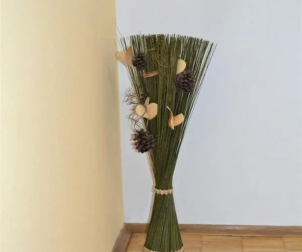 Apartament Doriana *